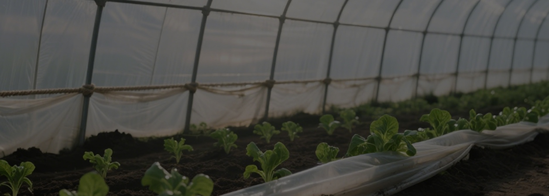 Kjemikalier til daglig bruk